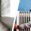 tenants sue landlords for damp cold mould