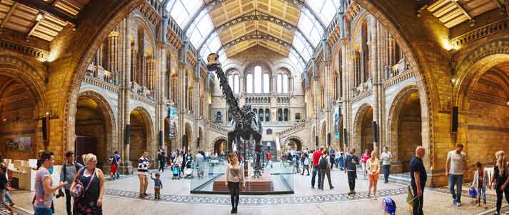 natural history museum
